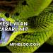 Yeşil Yılan Zararlı mı?