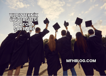 Yıldız Teknik Üniversitesi Doktora Şartları