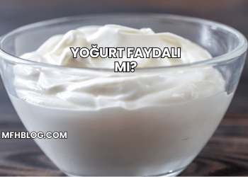 Yoğurt Faydalı mı?
