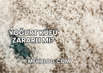 Yoğurt Küfü Zararlı mı?