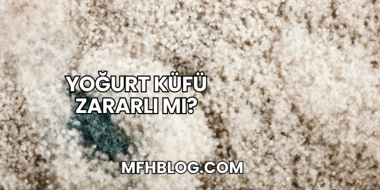 Yoğurt Küfü Zararlı mı?