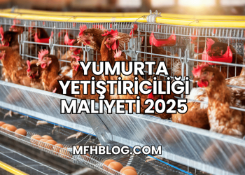 Yumurta Yetiştiriciliği Maliyeti 2025