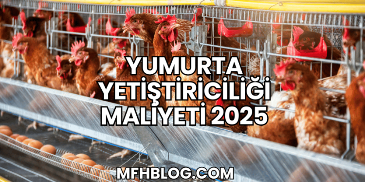 Yumurta Yetiştiriciliği Maliyeti 2025