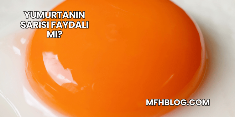 Yumurtanın Sarısı Faydalı mı?