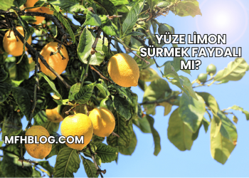 Yüze Limon Sürmek Faydalı mı?
