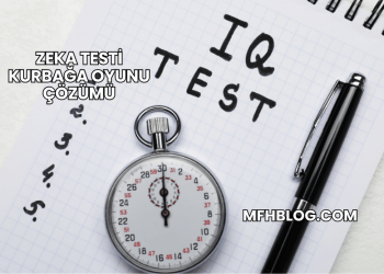 Zeka Testi Kurbağa Oyunu Çözümü