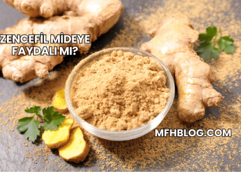 Zencefil Mideye Faydalı mı?