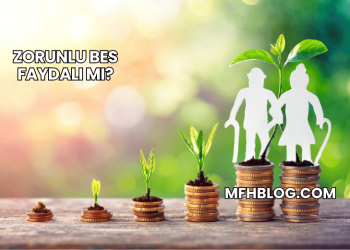 Zorunlu Bes Faydalı mı?