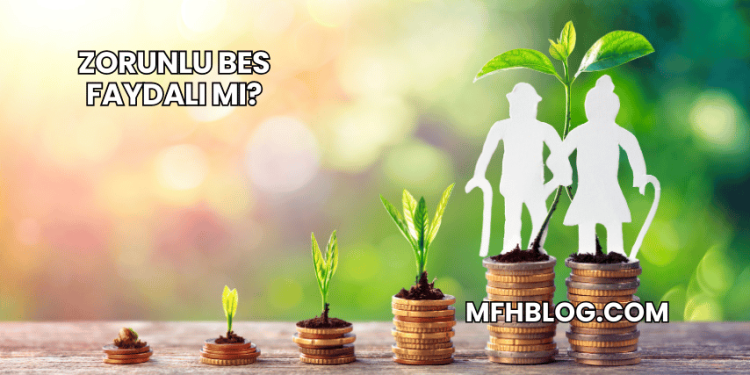 Zorunlu Bes Faydalı mı?