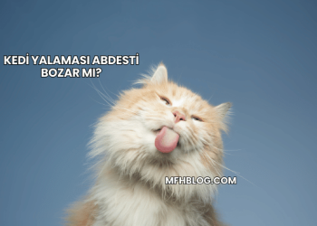 Kedi Yalaması Abdesti Bozar mı?