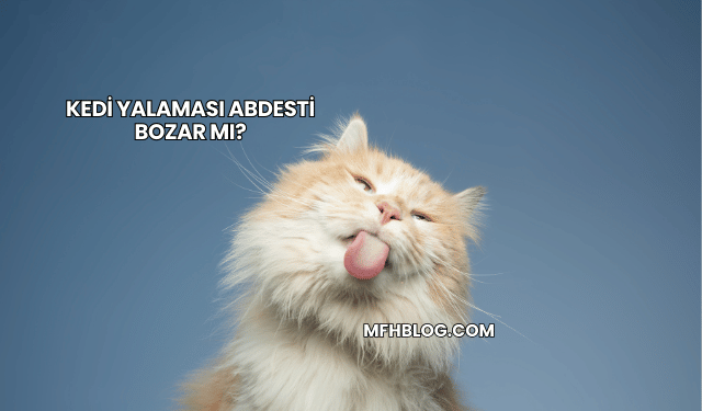 Kedi Yalaması Abdesti Bozar mı?