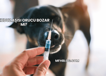 Kuduz Aşısı Orucu Bozar mı?