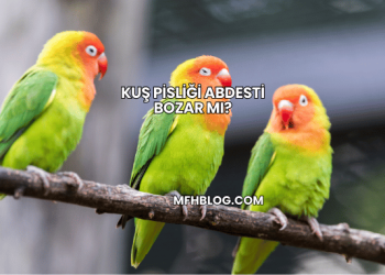 Kuş Pisliği Abdesti Bozar mı?