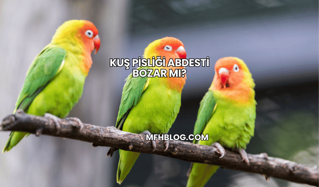 Kuş Pisliği Abdesti Bozar mı?