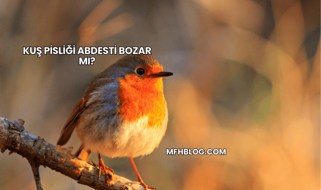 Kuş Pisliği Abdesti Bozar mı?