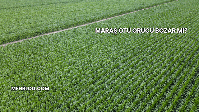 Maraş Otu Orucu Bozar mı?