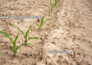 Maraş Otu Orucu Bozar mı?