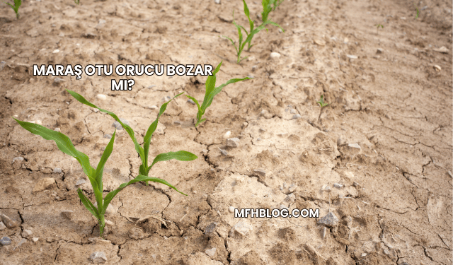Maraş Otu Orucu Bozar mı?