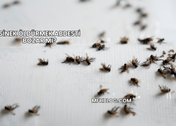 Sinek Öldürmek Abdesti Bozar mı?