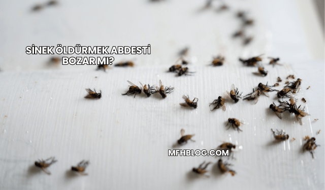 Sinek Öldürmek Abdesti Bozar mı?