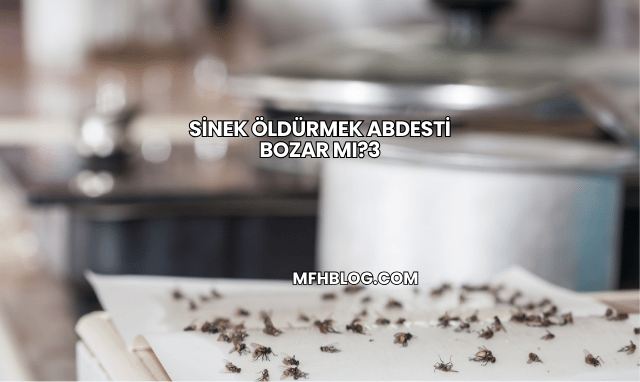 Sinek Öldürmek Abdesti Bozar mı?
