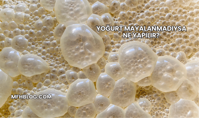 Yoğurt Mayalanmadıysa Ne Yapılır?