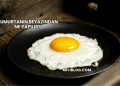 Yumurtanın Beyazından Ne Yapılır?