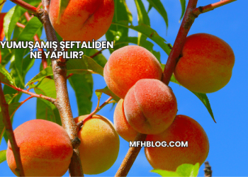 Yumuşamış Şeftaliden Ne Yapılır?
