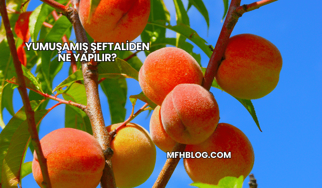 Yumuşamış Şeftaliden Ne Yapılır?