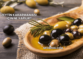 Zeytin Kararmaması İçin Ne Yapılır?