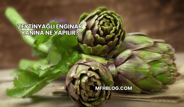 Zeytinyağlı Enginar Yanına Ne Yapılır?
