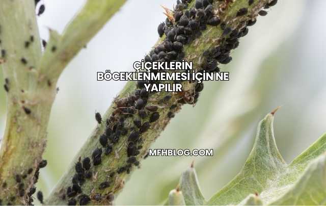 Çiçeklerin Böceklenmemesi İçin Ne Yapılır
