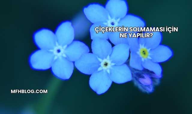 Çiçeklerin Solmaması İçin Ne Yapılır?