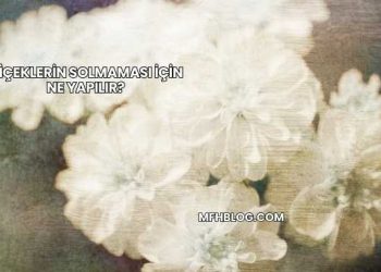 Çiçeklerin Solmaması İçin Ne Yapılır?