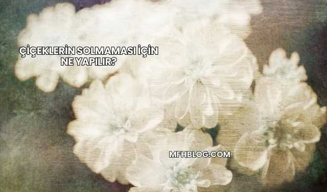 Çiçeklerin Solmaması İçin Ne Yapılır?