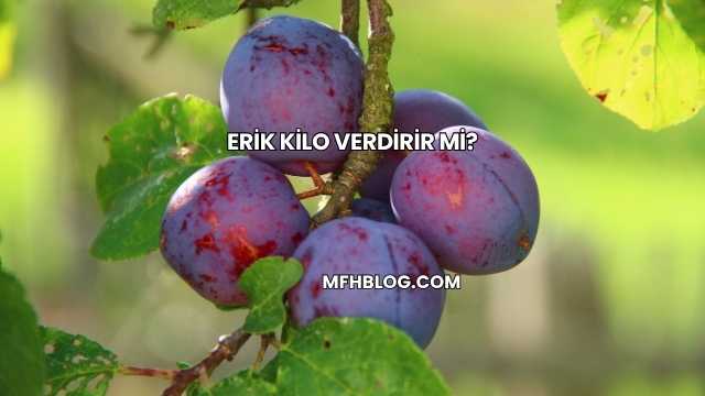 Erik Kilo Verdirir mi?