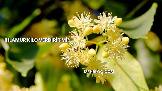 Ihlamur Kilo Verdirir mi?