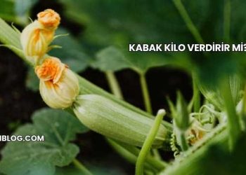 Kabak Kilo Verdirir mi?