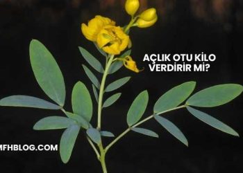 Açlık Otu Kilo Verdirir mi?