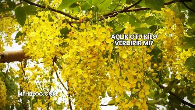 Açlık Otu Kilo Verdirir mi?