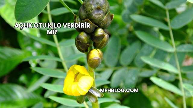Açlık Otu Kilo Verdirir mi?