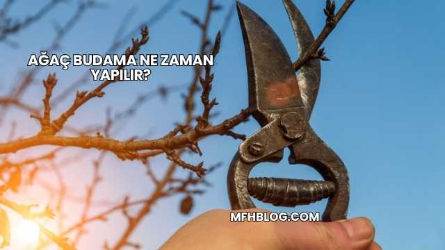 Ağaç Budama Ne Zaman Yapılır?