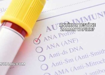 Antikor Testi Ne Zaman Yapılır?