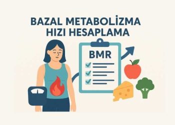 Bazal Metabolizma Hızı Hesaplama