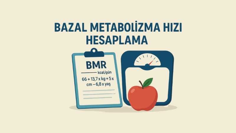 Bazal Metabolizma Hızı Hesaplama