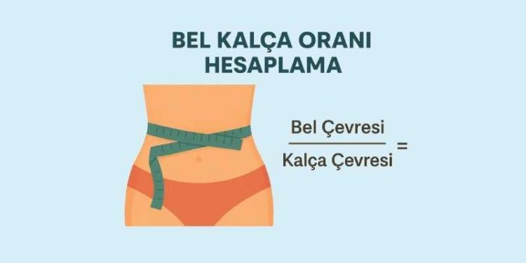 Bel Kalça Oranı Hesaplama