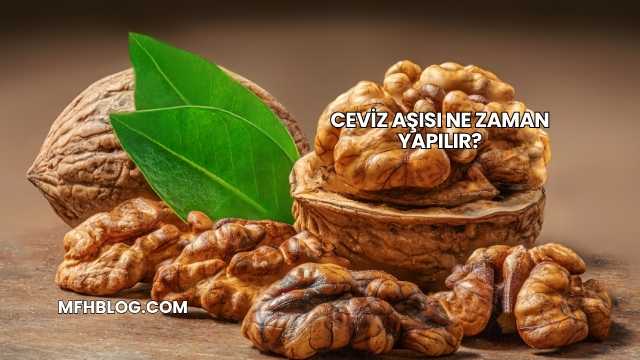 Ceviz Aşısı Ne Zaman Yapılır?