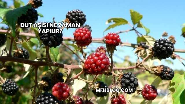 Dut Aşısı Ne Zaman Yapılır?