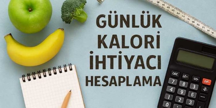 Günlük Kalori İhtiyacı Hesaplama