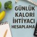 Günlük Kalori İhtiyacı Hesaplama